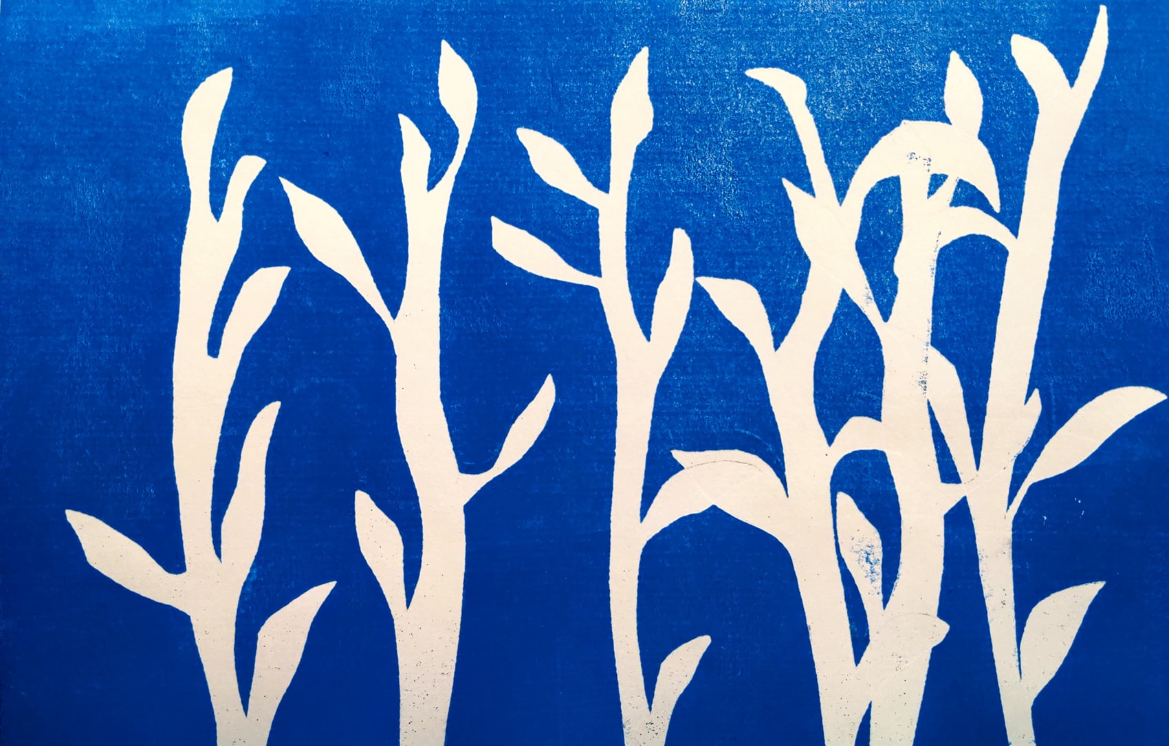 A blue monoprint on white paper of some branches with leaves. The branches are white and the background is blue.